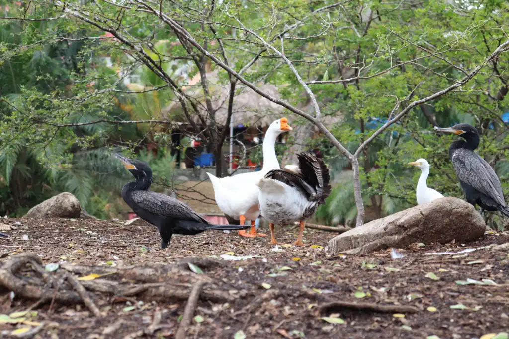 Día de Sol asociados, comerciantes y familiares 2023.