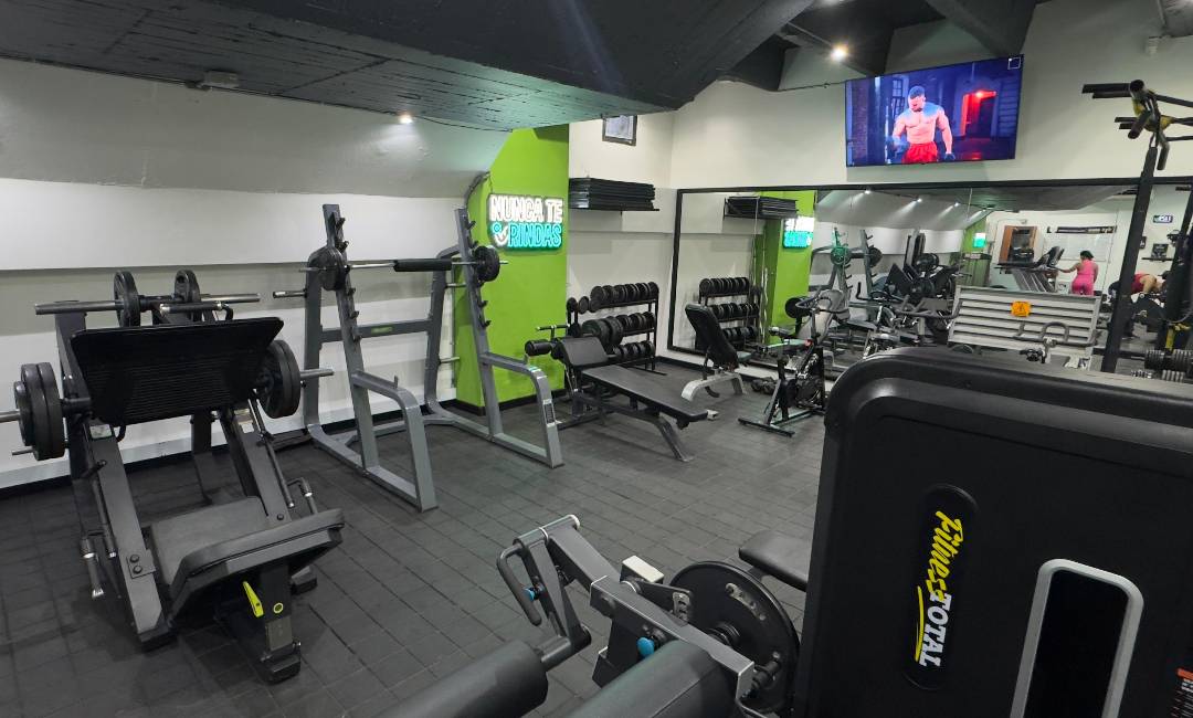 Gimnasio