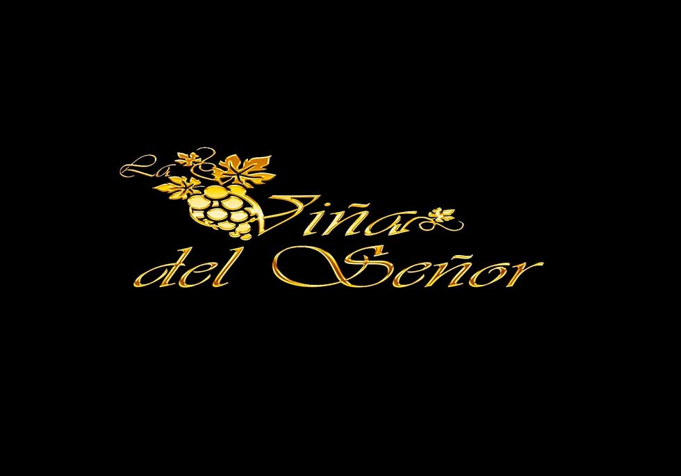 LA VIÑA DEL SEÑOR
